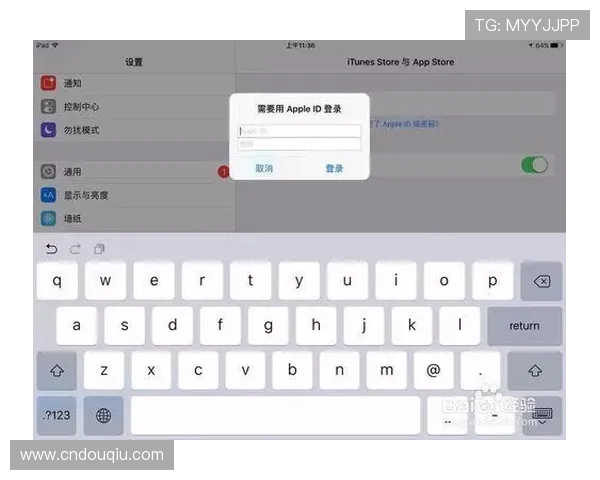 苹果用户在斗球app下载官网遇到下载失败的应对措施